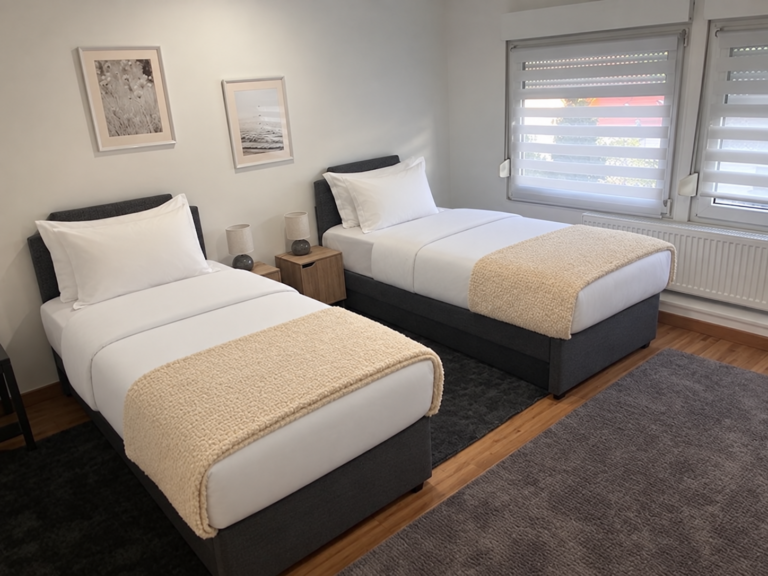 chambre lits jumeaux